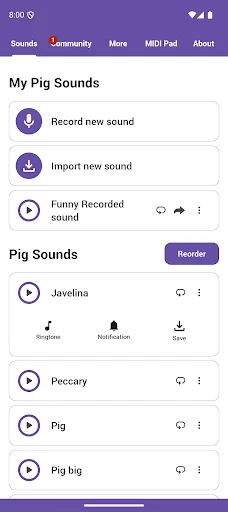 Pig Sounds ایپ ڈاؤن لوڈ کریں – سور کی دلچسپ آوازیں مفت - Screenshot 1
