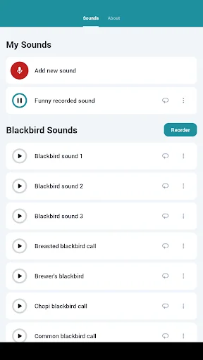 Blackbird Sounds ڈاؤن لوڈ کریں – فطرت کی پرسکون آوازیں مفت - Screenshot 11