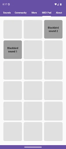Blackbird Sounds ڈاؤن لوڈ کریں – فطرت کی پرسکون آوازیں مفت - Screenshot 5