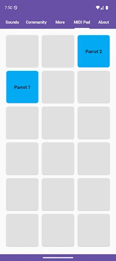 Parrot Sounds ڈاؤن لوڈ کریں – طوطوں کی دلکش آوازیں فری حاصل کریں - Screenshot 5