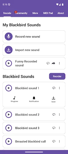 Blackbird Sounds ڈاؤن لوڈ کریں – فطرت کی پرسکون آوازیں مفت - Screenshot 1