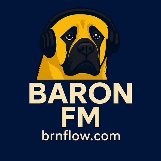 BaronFM ڈاؤن لوڈ کریں – لائیو ریڈیو اور BARON نیٹ ورک کا تجربہ