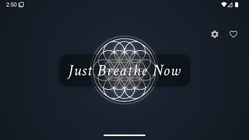 Just Breathe Now ڈاؤن لوڈ کریں – ذہنی سکون اور سانس کی مشقیں - Screenshot 8
