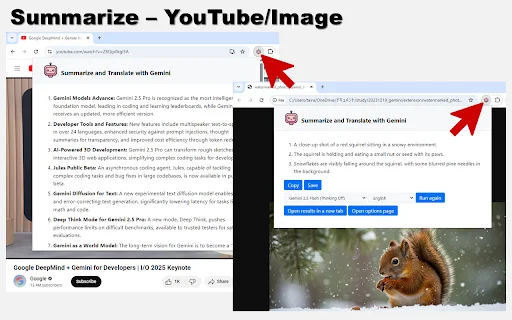 Summarize and Translate with Gemini ڈاؤن لوڈ کریں – ویب خلاصہ اور ترجمہ - Screenshot 2