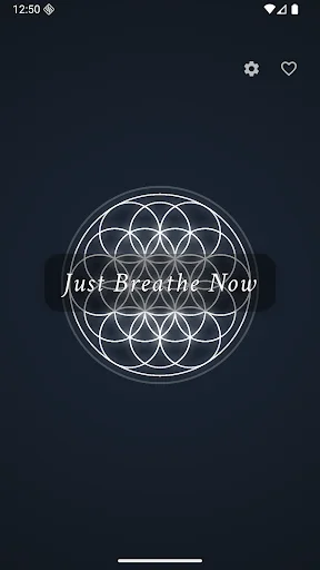 Just Breathe Now ڈاؤن لوڈ کریں – ذہنی سکون اور سانس کی مشقیں - Screenshot 1